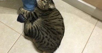 THANK U, THANK U THANK U THANK U THANK U 