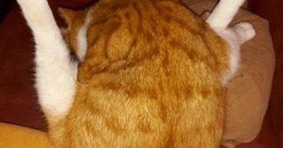 "Things that remind you of other things"