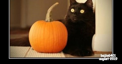 HE DOES WITH A PASSION