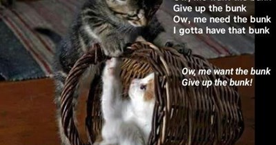 "My Turn" (TTO "Give Up The Funk [Tear The Roof Off The Sucker]" by Parliament)