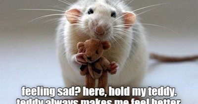 Feeling sad?