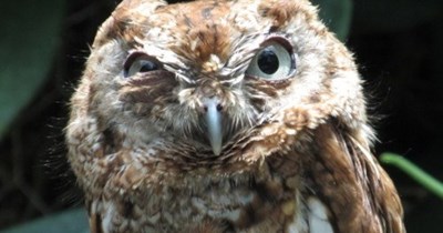 See your doctor if you have these symptoms...