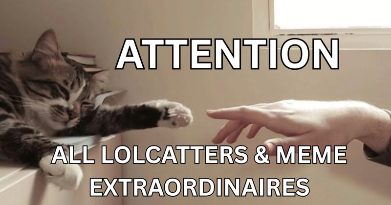 1 cat meme | Thumbnail includes one meme including 'ATTENTION ALL LOLCATTERS & MEME EXTRAORDINAIRES'