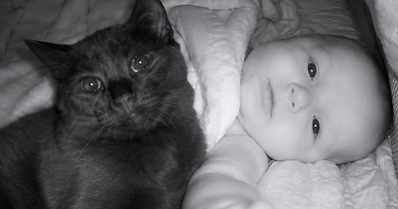 video of a cat climbing into the baby's crib every night and the two becoming best friends | thumbnail includes one black and white picture of a black cat and a baby cuddling