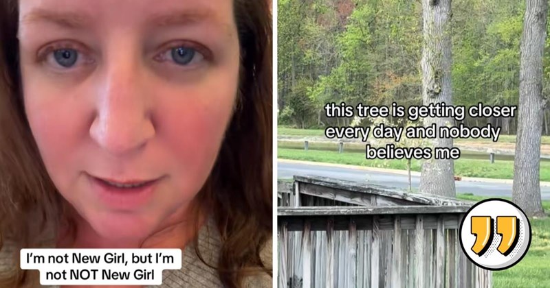 ‘A moving tree and the real New Girl’: How an internet mystery brings a community together