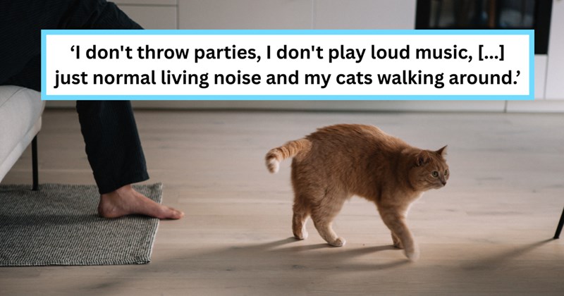 Story of neighbor getting upset over cat noises from upstairs | Thumbnail includes one picture of an orange cat walking gracefully on the floor while its owner rests comfortably on a couch, enjoying a peaceful moment at home, and one picture of text including '‘I don't throw parties, I don't play loud music, [...] just normal living noise and my cats walking around.’'