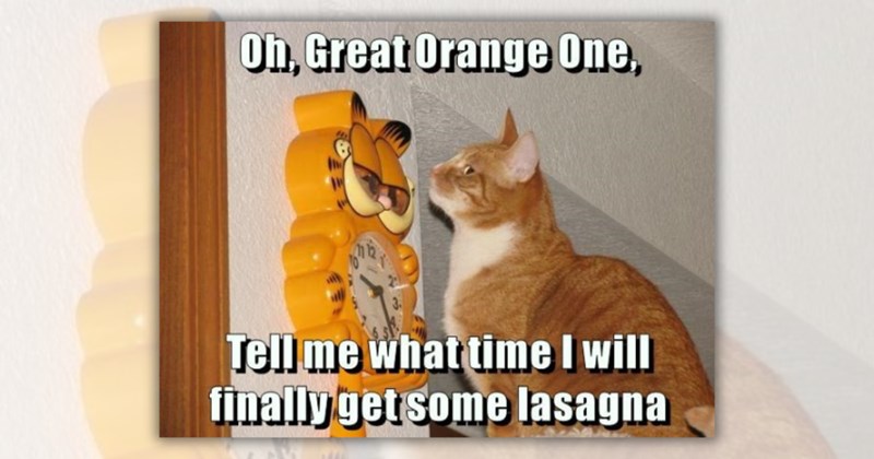 20 original cat memes | Thumbnail includes one meme including 'Oh, Great Orange One, Tell me what time I will finally get some lasagna'