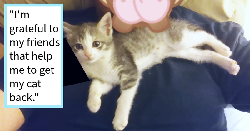 Kitten stolen animal hoarder while walking outside pawrent, returned after cat dad confronted cat thief, dad says: ‘ will definitely make sure keep doors closed all times.’ | thumbnail includes one image which shows a gray and white tabby cat lying on a man’s chest ‘“I’m grateful to my friends that help me to get my cat back.”’