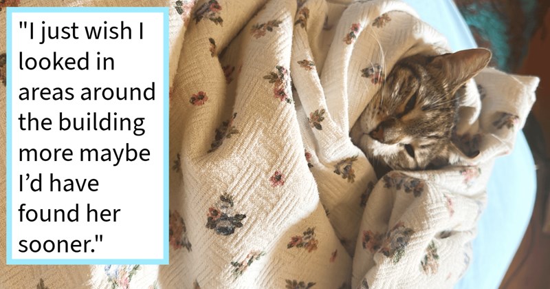 Cat who fell from balcony railing disappeared 5 days found landfill next home after pawrent’s father heard desperate meows, cat mom says: ‘Took me around 4 hours rescue her, hurt my arm process’ | thumbnail includes one image which shows a tabby cat wrapped in a blanket ‘“I just wish i looked in areas around the building more maybe I’d have found her sooner.”’