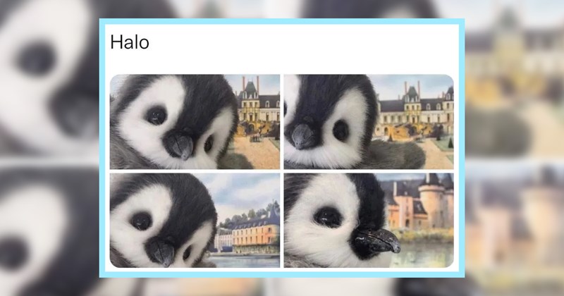 22 Spirit Raising Memes Kingdom Comical Animals | thumbnail includes one image which shows a baby penguin from different angles ‘Halo’
