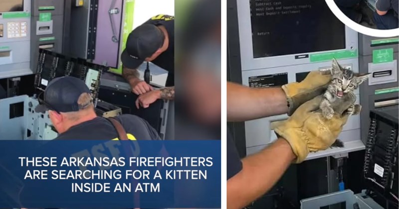 Story of a kitten rescue from ATM machine | Thumbnail includes one picture of firefighters including 'THESE ARKANSAS FIREFIGHTERS ARE SEARCHING FOR A KITTEN INSIDE AN ATM', and one picture of a kitten