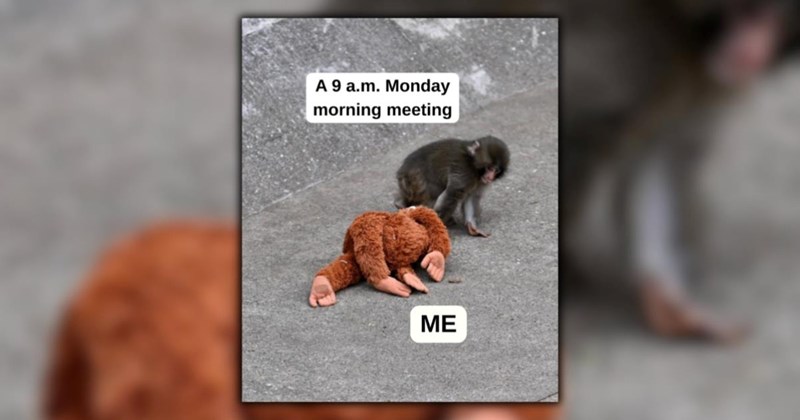 21 Employee Burnout Memes to Get You Through Your Winter Work Slump (February 27, 2025)