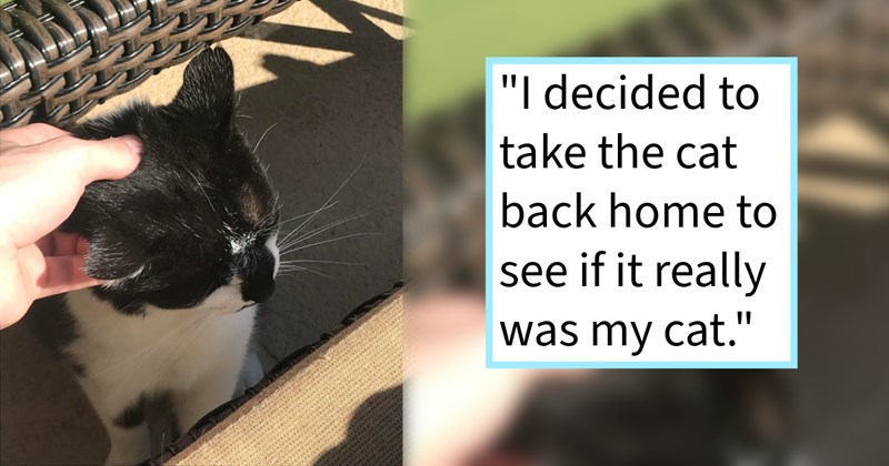 Family who gave up finding missing outdoor cat after 6 years companionship, surprised find kitty skinny malnourished 2 months later pawrent’s gym, cat dad says: ‘I’m buying collar my name number so this never happens again.’ | thumbnail includes one image which shows a black and white cat sitting on the floor getting ear scratches ‘“I decided to take the cat back home to see if it really was my cat.”’