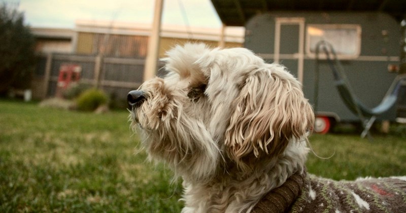 Cheezburger Image 44508677