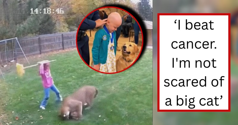Story of young girl saving her dog from a mountain lion attack | Thumbnail includes one picture of security camera footage, one picture of a cancer survivor and her golden retriever, and one picture of text including '‘I beat cancer. I'm not scared of a big cat’'