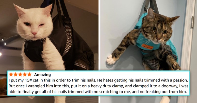 funny Amazon reviews of cat nail trimming bags | thumbnail includes two pictures of cats captured in bags and one part of a review 'Amazing I put my 15# cat in this in order to trim his nails. He hates getting his nails trimmed with a passion. But once I wrangled him into this, put it on a heavy duty clamp, and clamped it to a doorway, I was able to finally get all of his nails trimmed with no scratching to me, and no fr_king out from him. '