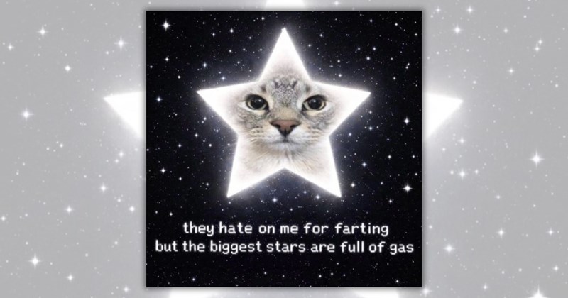 26 cat memes | Thumbnail includes one meme including 'they hate on me for farting but the biggest stars are full of gas'