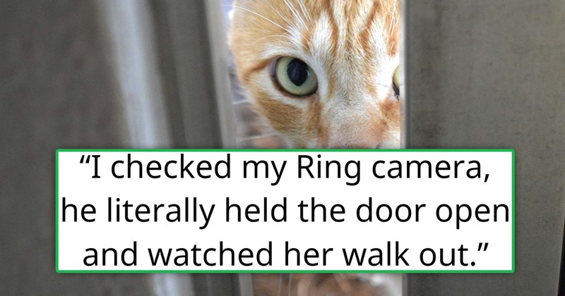 story about a boyfriend intentionally letting his girlfriend's indoor cat outside | thumbnail includes one picture of a ginger cat peeking from behind a door 'I checked my Ring camera, he literally held the door open and watched her walk out'