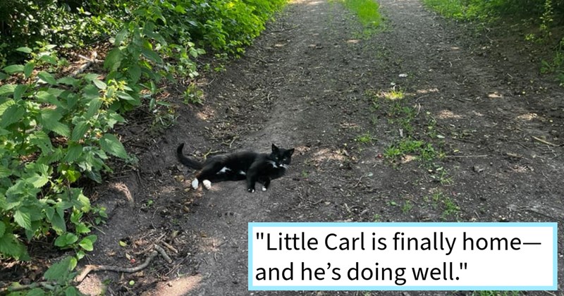 Carl lost cat found after 3 years 8km from home cat loving couple while walking fur babies, after social media search tearfully reunited original family, rescuers say: ‘If you ever lose cat, never give up hope.’ | thumbnail includes one image which shows a black and white cat lying on a dirt track surrounded by foliage ‘“Little Carl is finally home–and he’s doing well.”’