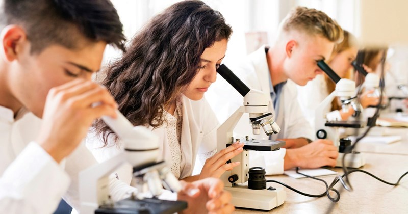 Student gets revenge on slacker lab partner by using the scientific method to document their laziness: ‘[I] started being methodical’