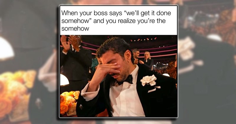 Funny Memes humor employee job jokes coworkers Memes entertaining comedy workplace funny - 44561925