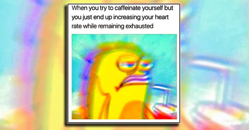 humor caffeine entertainment work Memes coffee comedy laughing funny Funny Memes - 44576005