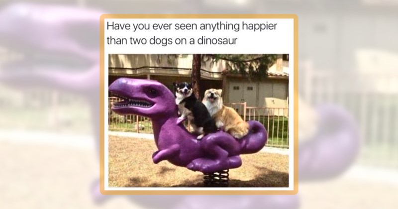 22 dog memes | thumbnail includes one meme including 'Have you ever seen anything happier than two dogs on a dinosaur'