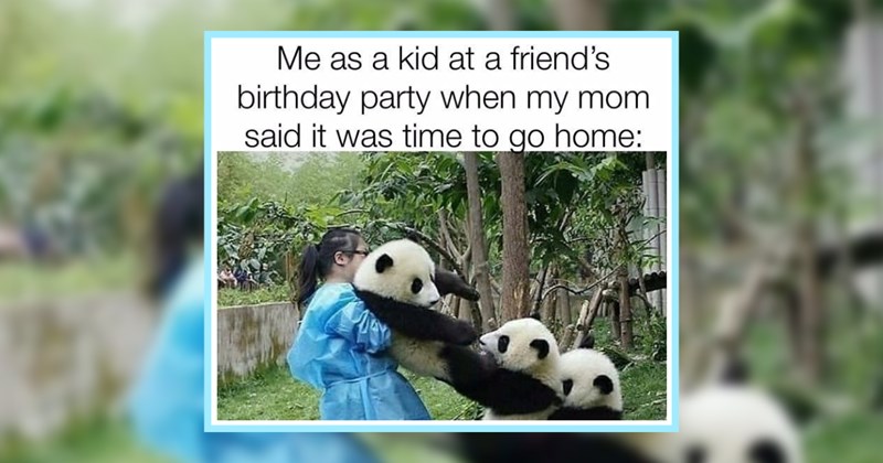 22 Wholesome Mood Elevating Memes Awwnimal Kingdom | thumbnail includes one image which shows a woman carrying a baby panda who is being pulled back by two other baby pandas ‘Me as a kid at a friend’s birthday party when my mom said it was time to go home:’