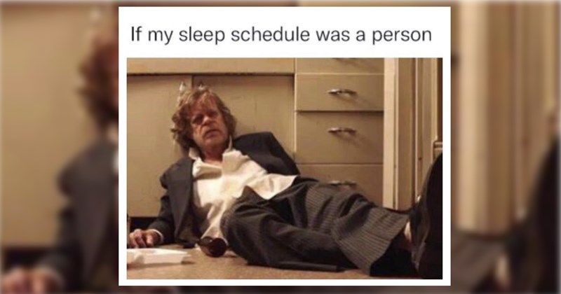 funny memes Memes TV sleeping funny Funny Memes - 44595717