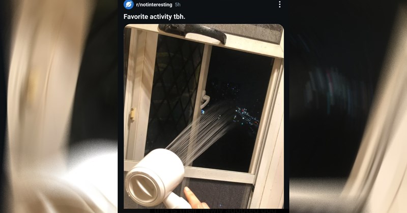 The Funniest Reddit Posts of the Week