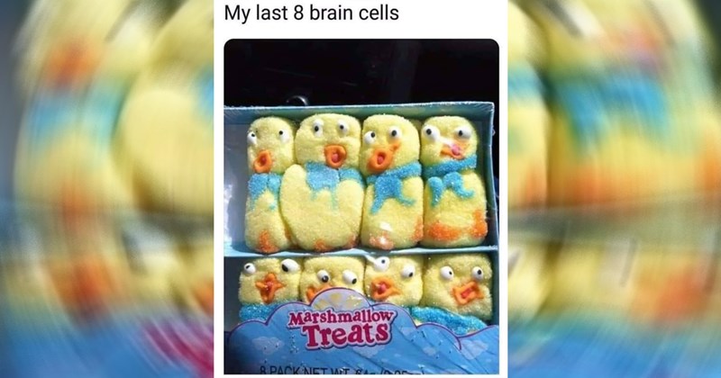 30 Memes That Are Committed to Goofing Off