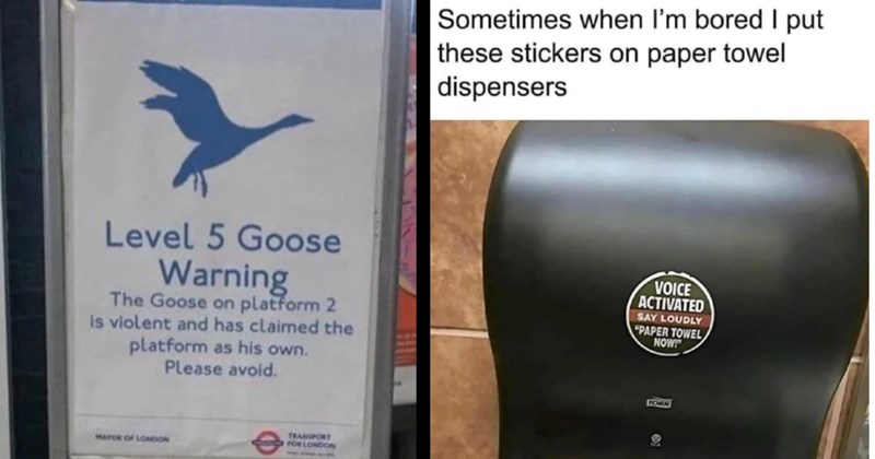 signs stories funny signs Life in Retail - 44605957