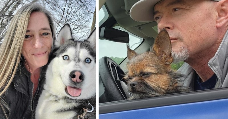25 Pawdorable Puppers Pawrents Posing Sweet Selfies | thumbnail includes two images one image shows a blonde woman and her husky who is sticking tongue out, the other image shows man and a small dog in a car looking out the window with squinted eyes