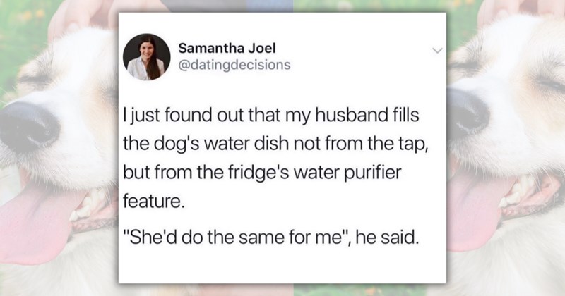 24 dog memes | Thumbnail includes one meme including 'Samantha Joel @datingdecisions I just found out that my husband fills the dog's water dish not from the tap, but from the fridge's water purifier feature. "She'd do the same for me", he said.'