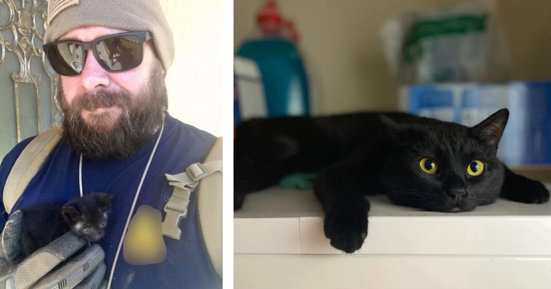Story of a marine rescuing a black kitten | Thumbnail includes one picture of a man holding a small black kitten, and one picture of a black cat