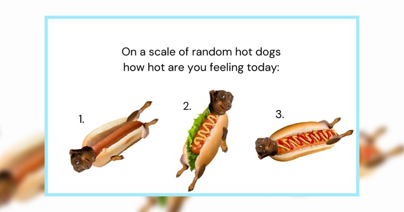 21 Dachshund Dog Memes Lovers Silly Sausages | thumbnail includes one image which shows a dachshund dog dressed as a hot dog in different positions ‘On a scale of random hot dogs how hot are you feeling today:’
