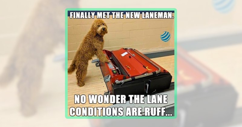23 dog memes | thumbnail includes one meme including 'FINALLY MET THE NEW LANEMAN. NO WONDER THE LANE CONDITIONS ARE RUFF...'