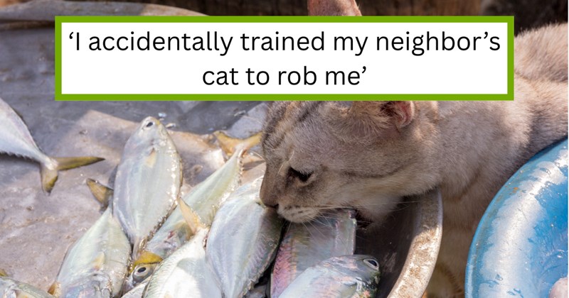 Story of an orange cat stealing to trade for food | Thumbnail includes one picture of a cat stealing a fish and one picture of text including '‘I accidentally trained my neighbor’s cat to rob me’'