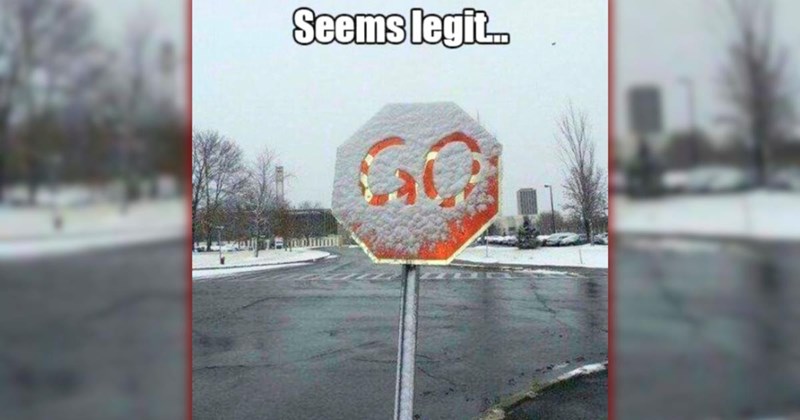 A Silly Scroll of 25 Happy Memes for a Wacky Week