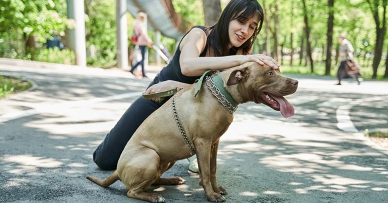 dog park dog parent dogs pet parents dog mom sarcastic funny rant entitled sarcasm funny animals karen Entitled People - 44659717