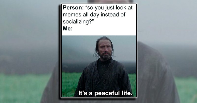 humor entertainment laughs jokes work week Memes comedy weekend laughing daily funny Funny Memes - 44666117