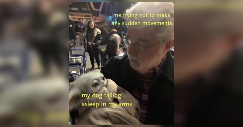 Heartwarmingly Wholesome Memes and Posts 