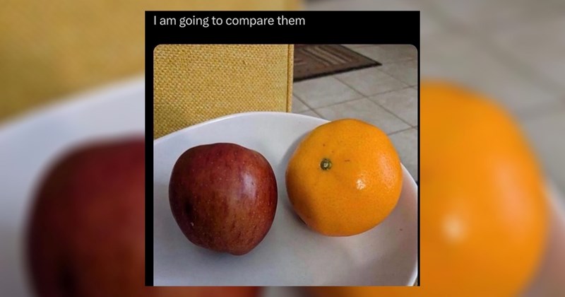 funny random memes relatable memes work memes random memes funny memes Memes twitter memes meme silly funny tweets funny Funny Memes - 44680453