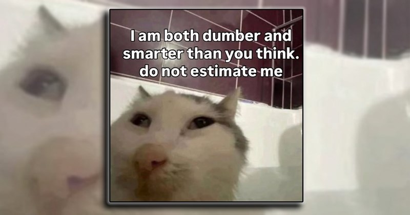 therapist humor healthy jokes therapy Memes comedy laughing funny Funny Memes - 44685573