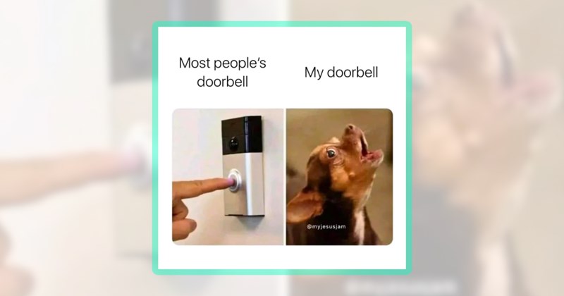 20 chihuahua memes | thumbnail includes one meme including 'Most people's doorbell My doorbell'