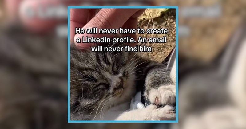 A Nostalgic Burst of Cat Memes that Bring us Back to Our Inner Child