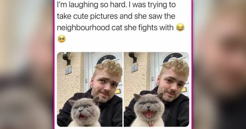 funny cat memes | thumbnail includes one meme of a man holding a hissing cat 'I'm laughing so hard. I was trying to take cute pictures and she saw the neighbourhood cat she fights with 80 80'