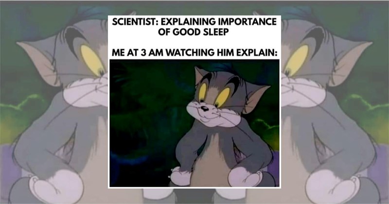 funny random memes sleep memes midnight relatable memes funny memes Memes Funny Memes - 44723717