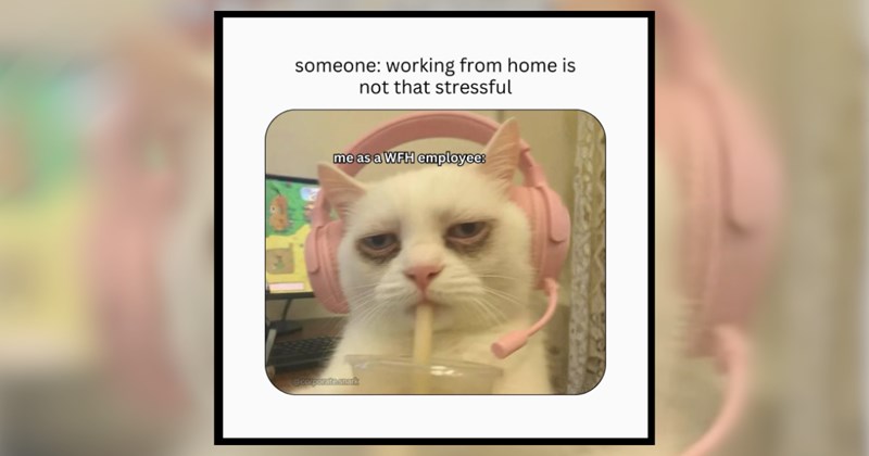 humor wholesome hilarious relatable memes relatable funny memes Memes funny Funny Memes - 44731653