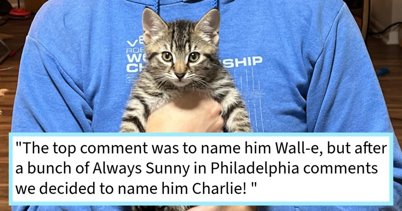 UPDATE: Stray wall kitten’s fur family trapped rescued from feral life given furever home rescuer’s cat loving friend, wall kitten gifted adopted void sibling, cat dad says: ‘They started sleeping together after the first week’ | thumbnail includes one image which shows a tabby kitten being held to a man’s chest ‘“The top comment was to name him Wall-e, but after a bunch of Always Sunny in Philadelphia comments we decided to name him Charlie!”’